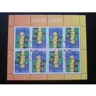 Беларусь, 2000. Европа, м/лист, Mi-18.0 евро гаш.