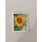 Марка шестого стандартного выпуска 2004 года - Подсолнечник однолетний (Helianthus annuus) поврежден уголок