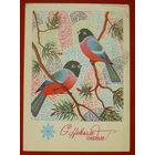 С новым годом! Подписанная. 1982 года. Саблин. 925.