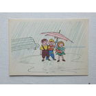 Щеглов дождик 1966 10х15 см