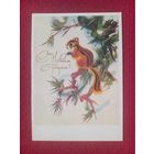 С Новым Годом! Каневский 1988 г. Чистая.