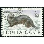 Морские млекопитающие Фауна СССР 1971 год 1 марка