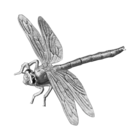 Камерун 500 франков 2024г. "Механическая стрекоза 3D". Монета в подарочной рамке - футляре; сертификат; коробка. СЕРЕБРО 7,00гр.