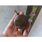 Маятник часов