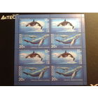 Россия 2012 Киты и дельфины**м/лист Михель-17,0 евро