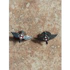 Петлица Польша