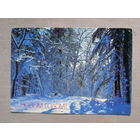 С001 Открытка С Новым годом! Фото Ерина Подписана СССР 1987