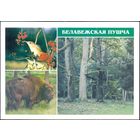 Беларусь ДМПК 1998 Беловежская пуща
