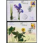 Беларусь 2003 год Конверты первого дня КПД Купальница, Ирис сибирский