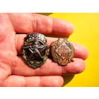 Два редких знака одним лотом.