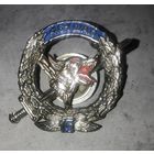 Знак ШАП 461 "Красные Собаки", 15 лет со дня формирования 461 Штурмового Авиационного Полка