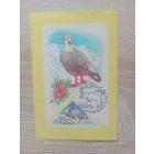 Календарик 1987