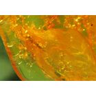 Натуральный камень янтарь с инклюзом. С 1 рубля!