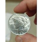 1 доллар 1923 мирный ТОРГ