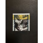 Бельгия. 100 лет А.Сторку. 2007г. гашеная