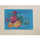 Коробова   8 марта 1981  10х15  см