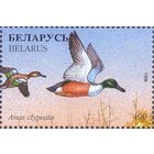 Беларусь 1996 фауна утки