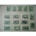 Спичечные этикетки ф.Пролетарское знамя. Охраняйте полезных и редких птиц и зверей. 1966 год