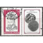 Венгрия. 350 лет университета. Будапешт.1985г. Mi#3749.