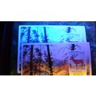 Беларусь 1995 2 Блока Олень благородный в УФО имеют раз цвет