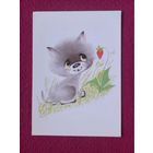 Котенок. Бугаева 1989 г. Чистая.