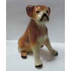 Статуэтка фарфоровая "Собачка" 70-80-е годы Европа. Высота 15 см. Заводская царапина на левой лапе внизу.