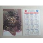 Карманный календарик.Кошки.1995 год