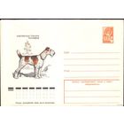 1978 год ХМК Фокстерьер 78-210