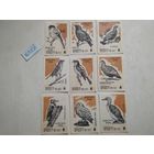 Спичечные этикетки ф.Борисов. Берегите птиц. 1972 год