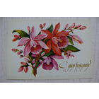 Марков Ф., С днем рождения! 1981, чистая.