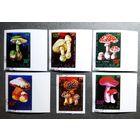 Марки Вьетнам 1991 год Грибы