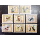 Вьетнам. 1979 год. Фауна. Насекомые (1278)