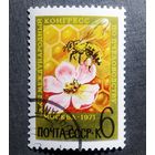 Марка СССР 1971 год Международный конгресс по пчеловодству