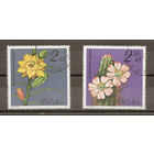 Польша.1981.Кактусы (2 марки)