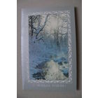 Реснянский Н., Жаворонков В.(фото), С Новым годом! 1989, двойная, подписана.