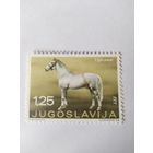 Югославия 1969  конь