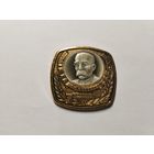 Знак без застёжки