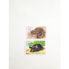 Марки Беларусь 2003 Пресмыкающие