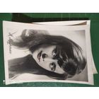 Артисты актер актриса Марченко