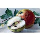 Открытка,  почтовая карточка,старинная, Яблоки