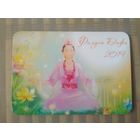 Карманный календарик. Принцесса. 2019 год