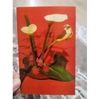 Открытка Поздравляю, чистая 1973