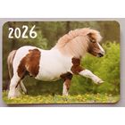 Лошадь. Календарик, глянец, 2026. Траско