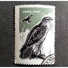 Марка СССР 1965 год Птицы