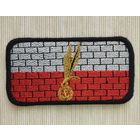 Шеврон 103-21, ГСН "Гром" на липучке , Польша