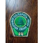 Шеврон мастера леса