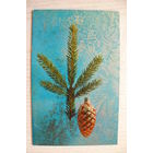 Березин В., Наилучшие пожелания в Новом году! 1971, двойная, чистая.