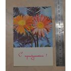 Открытка, "С праздником!", не подписанная.