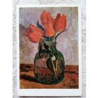 Чцйков. Горные тюльпаны