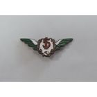 Знак выслуги гражданской авиации  СССР. Латунь, эмаль. (Предположительно).